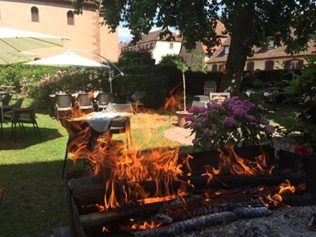 Hotel Du Herrenstein Neuwiller-lès-Saverne エクステリア 写真
