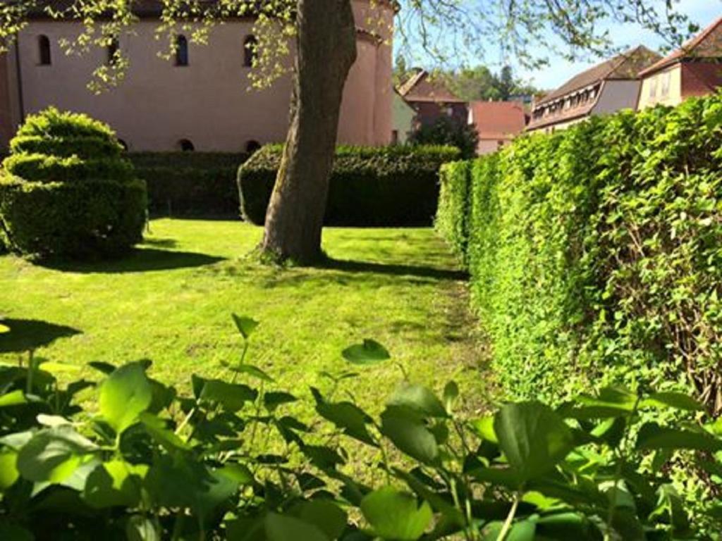 Hotel Du Herrenstein Neuwiller-lès-Saverne エクステリア 写真